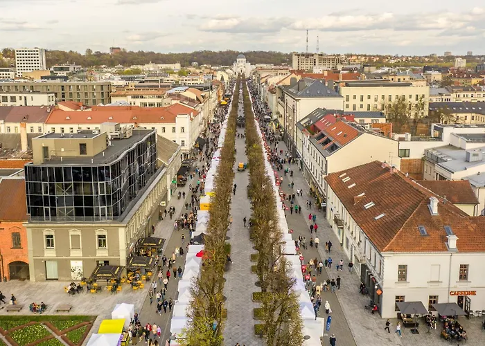 Appartement On Laisves Aleja, - Self Check In *